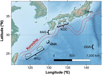 Genetic population structure of the precious coral Corallium japonicum in the Northwest Pacific